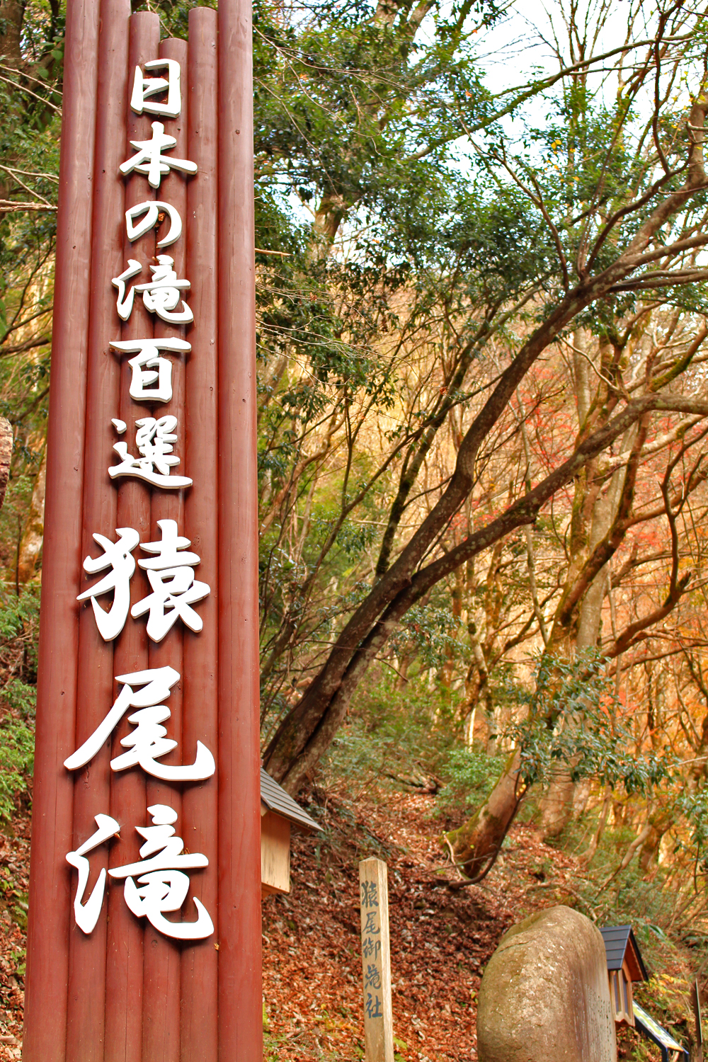 blog04